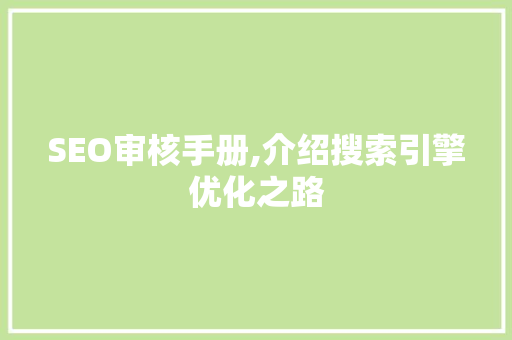 SEO审核手册,介绍搜索引擎优化之路 网站建设公司