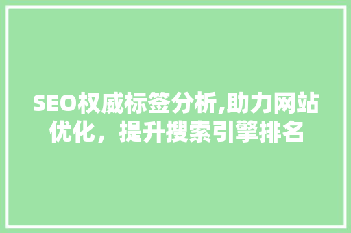 SEO权威标签分析,助力网站优化，提升搜索引擎排名