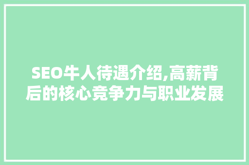 SEO牛人待遇介绍,高薪背后的核心竞争力与职业发展路径