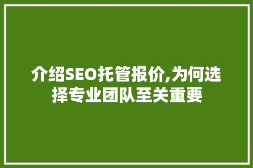 介绍SEO托管报价,为何选择专业团队至关重要 SEO关键词