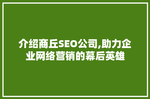 介绍商丘SEO公司,助力企业网络营销的幕后英雄