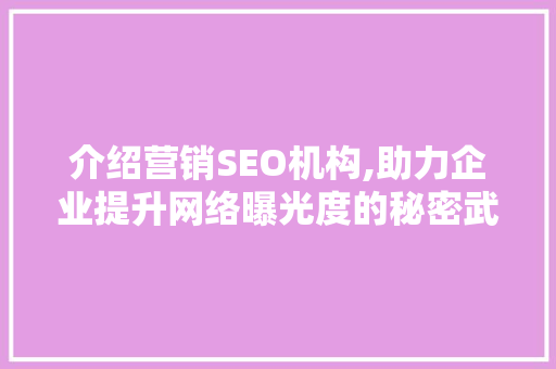 介绍营销SEO机构,助力企业提升网络曝光度的秘密武器