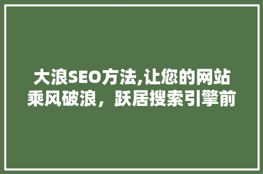 大浪SEO方法,让您的网站乘风破浪，跃居搜索引擎前列