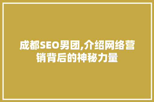 成都SEO男团,介绍网络营销背后的神秘力量