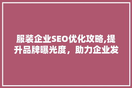 服装企业SEO优化攻略,提升品牌曝光度，助力企业发展