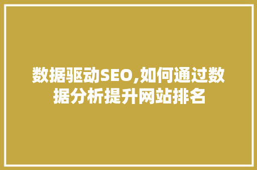 数据驱动SEO,如何通过数据分析提升网站排名