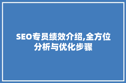 SEO专员绩效介绍,全方位分析与优化步骤
