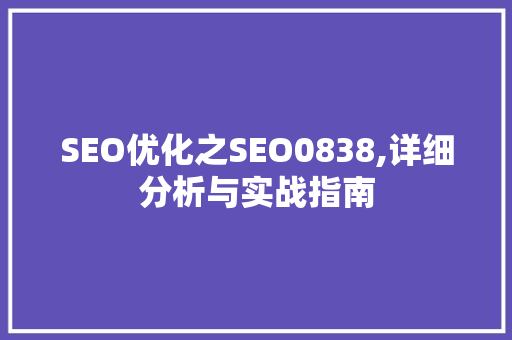 SEO优化之SEO0838,详细分析与实战指南