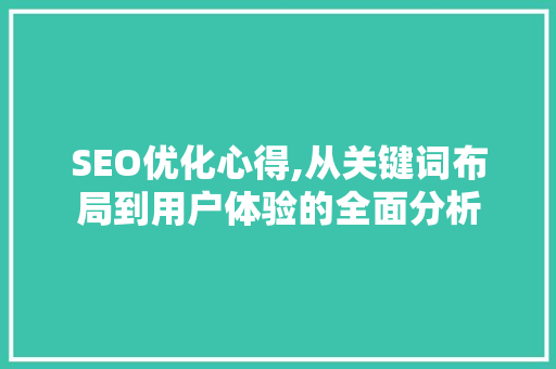 SEO优化心得,从关键词布局到用户体验的全面分析