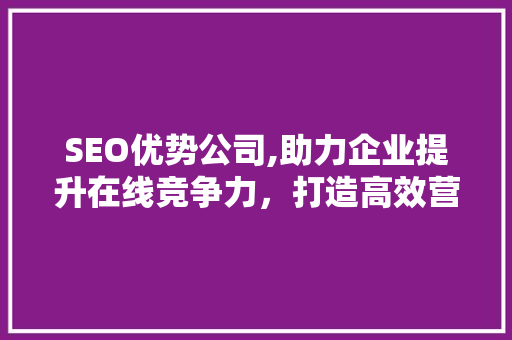 SEO优势公司,助力企业提升在线竞争力，打造高效营销步骤 网站建设公司