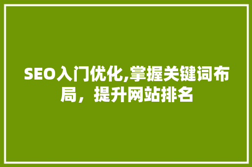 SEO入门优化,掌握关键词布局，提升网站排名 网站建设公司