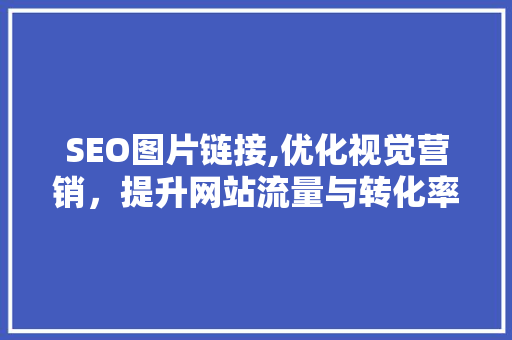 SEO图片链接,优化视觉营销，提升网站流量与转化率
