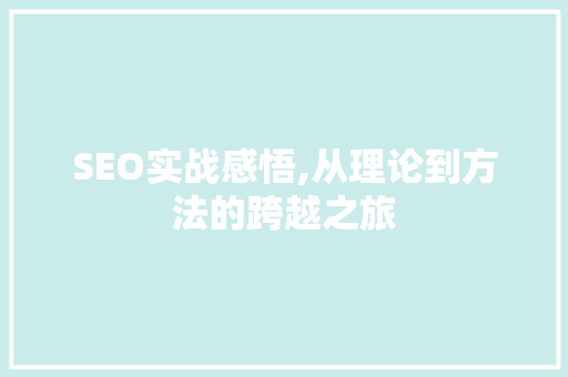 SEO实战感悟,从理论到方法的跨越之旅 SEO关键词