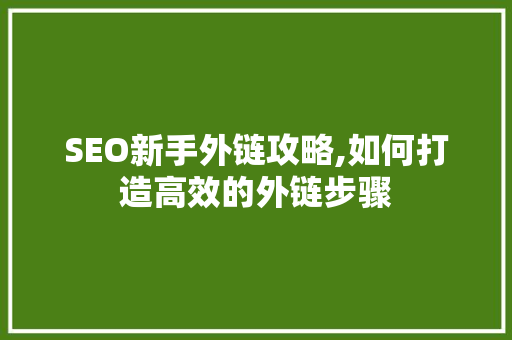 SEO新手外链攻略,如何打造高效的外链步骤 百度SEO