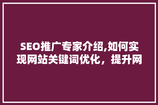 SEO推广专家介绍,如何实现网站关键词优化，提升网站流量与排名