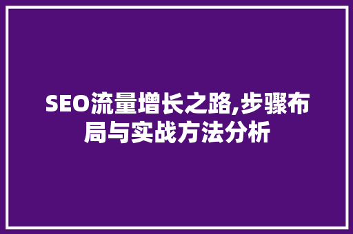 SEO流量增长之路,步骤布局与实战方法分析