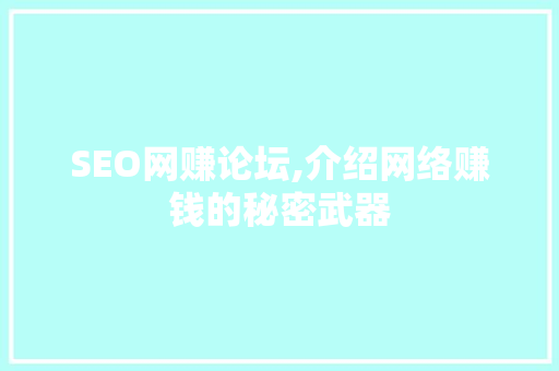 SEO网赚论坛,介绍网络赚钱的秘密武器