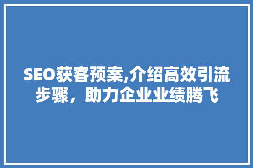 SEO获客预案,介绍高效引流步骤，助力企业业绩腾飞