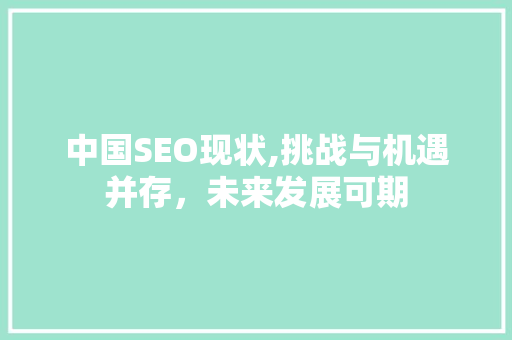 中国SEO现状,挑战与机遇并存，未来发展可期 神马SEO