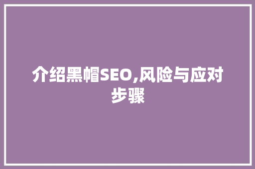 介绍黑帽SEO,风险与应对步骤