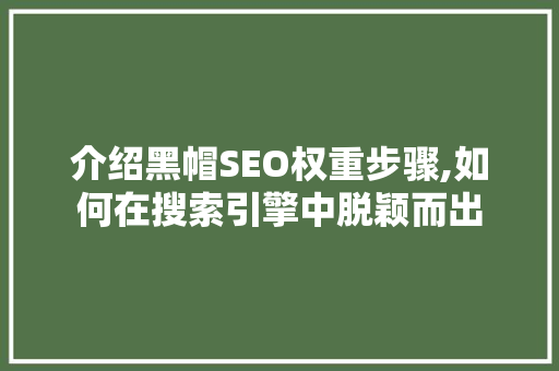介绍黑帽SEO权重步骤,如何在搜索引擎中脱颖而出 网站建设公司