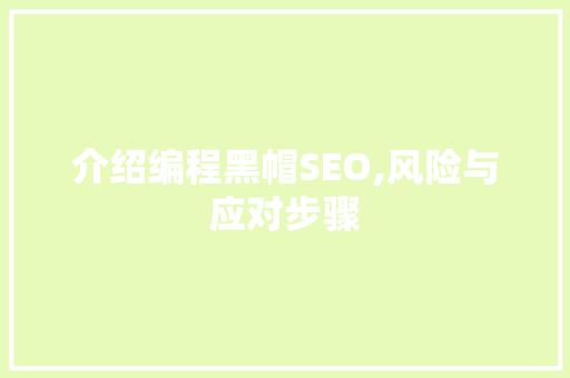 介绍编程黑帽SEO,风险与应对步骤