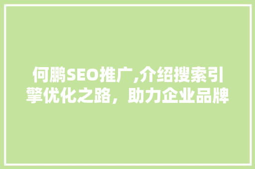 何鹏SEO推广,介绍搜索引擎优化之路，助力企业品牌腾飞 百度SEO