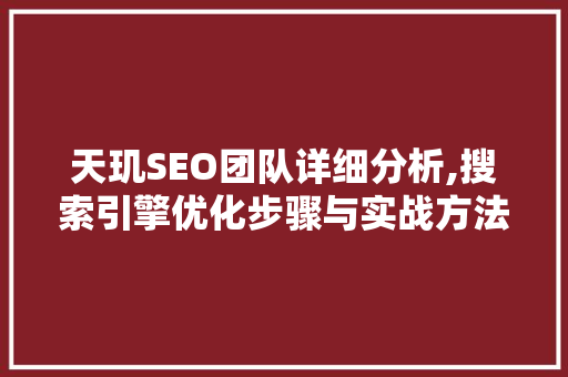 天玑SEO团队详细分析,搜索引擎优化步骤与实战方法 必应SEO