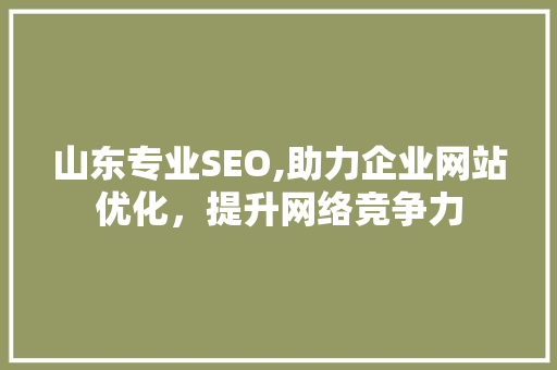 山东专业SEO,助力企业网站优化，提升网络竞争力 SEO关键词