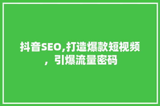 抖音SEO,打造爆款短视频，引爆流量密码 百度SEO