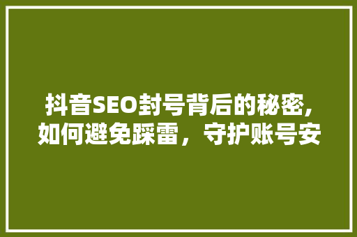 抖音SEO封号背后的秘密,如何避免踩雷，守护账号安全 网站建设公司