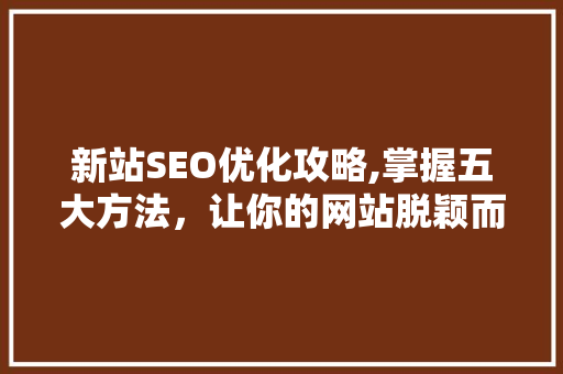 新站SEO优化攻略,掌握五大方法，让你的网站脱颖而出 搜狗SEO