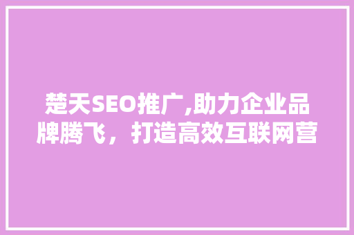 楚天SEO推广,助力企业品牌腾飞，打造高效互联网营销步骤 SEO关键词