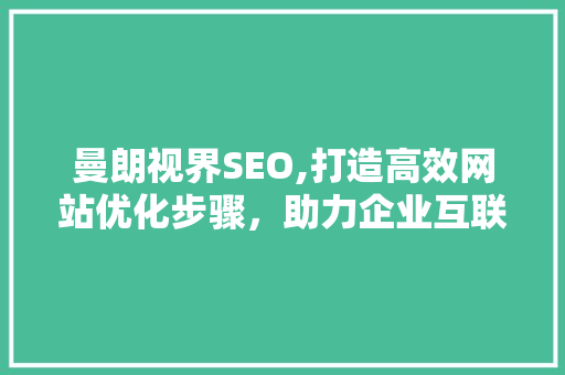 曼朗视界SEO,打造高效网站优化步骤，助力企业互联网发展 SEO关键词