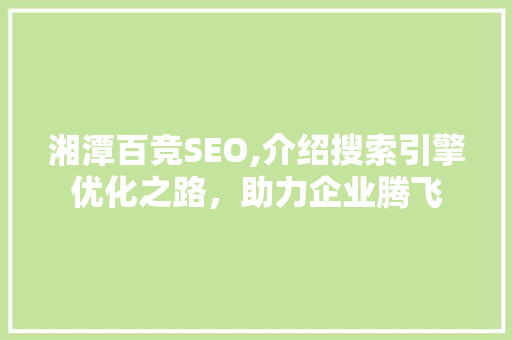 湘潭百竞SEO,介绍搜索引擎优化之路，助力企业腾飞 百度SEO