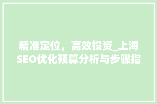 精准定位，高效投资_上海SEO优化预算分析与步骤指导 网站建设公司
