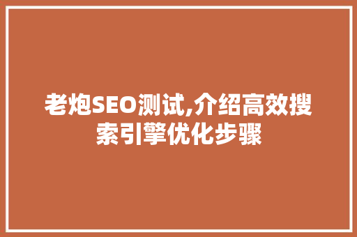 老炮SEO测试,介绍高效搜索引擎优化步骤 百度SEO