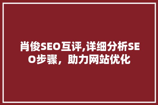 肖俊SEO互评,详细分析SEO步骤，助力网站优化