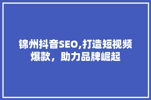 锦州抖音SEO,打造短视频爆款，助力品牌崛起