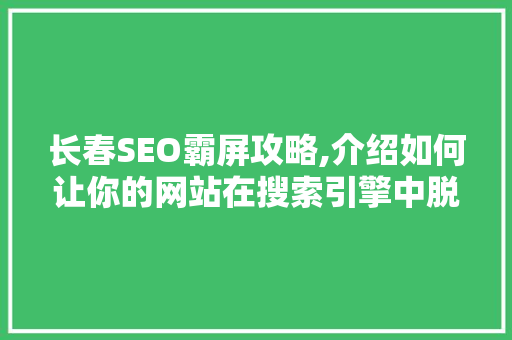 长春SEO霸屏攻略,介绍如何让你的网站在搜索引擎中脱颖而出