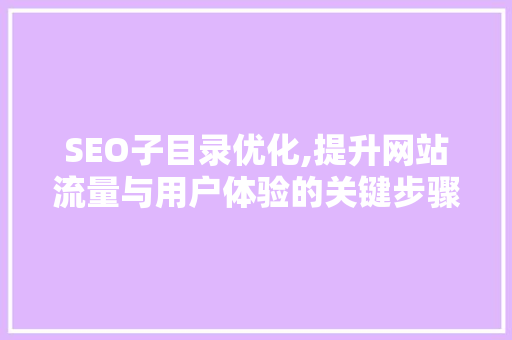SEO子目录优化,提升网站流量与用户体验的关键步骤 网站建设公司