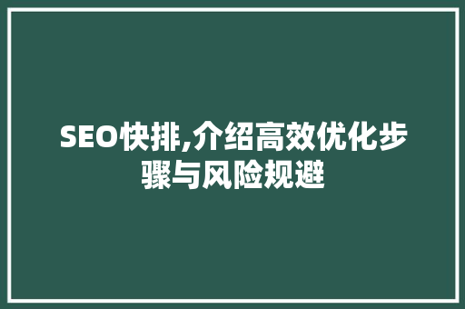 SEO快排,介绍高效优化步骤与风险规避