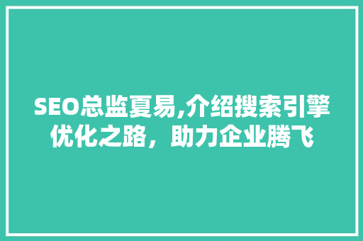SEO总监夏易,介绍搜索引擎优化之路，助力企业腾飞 网站建设公司
