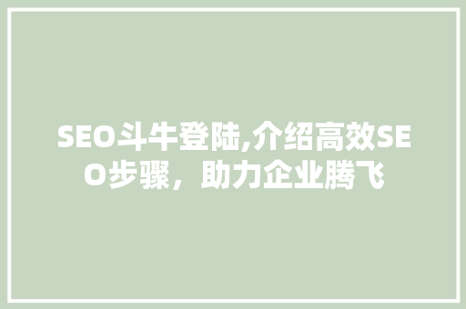SEO斗牛登陆,介绍高效SEO步骤，助力企业腾飞 必应SEO
