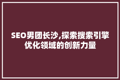 SEO男团长沙,探索搜索引擎优化领域的创新力量 SEO关键词