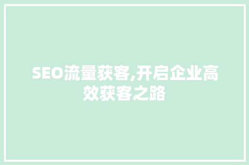 SEO流量获客,开启企业高效获客之路