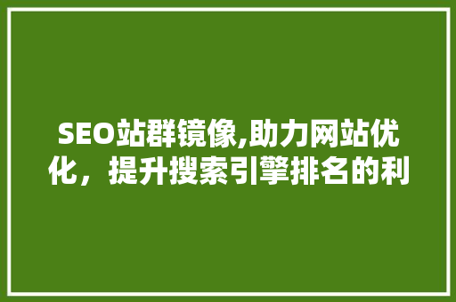 SEO站群镜像,助力网站优化，提升搜索引擎排名的利器