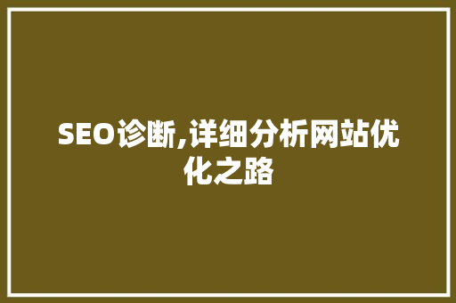 SEO诊断,详细分析网站优化之路