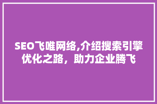 SEO飞唯网络,介绍搜索引擎优化之路，助力企业腾飞 网站建设公司