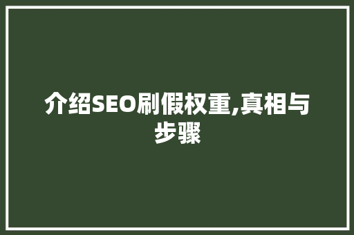 介绍SEO刷假权重,真相与步骤 网站建设公司